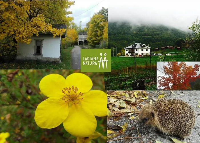 Laciana Natura